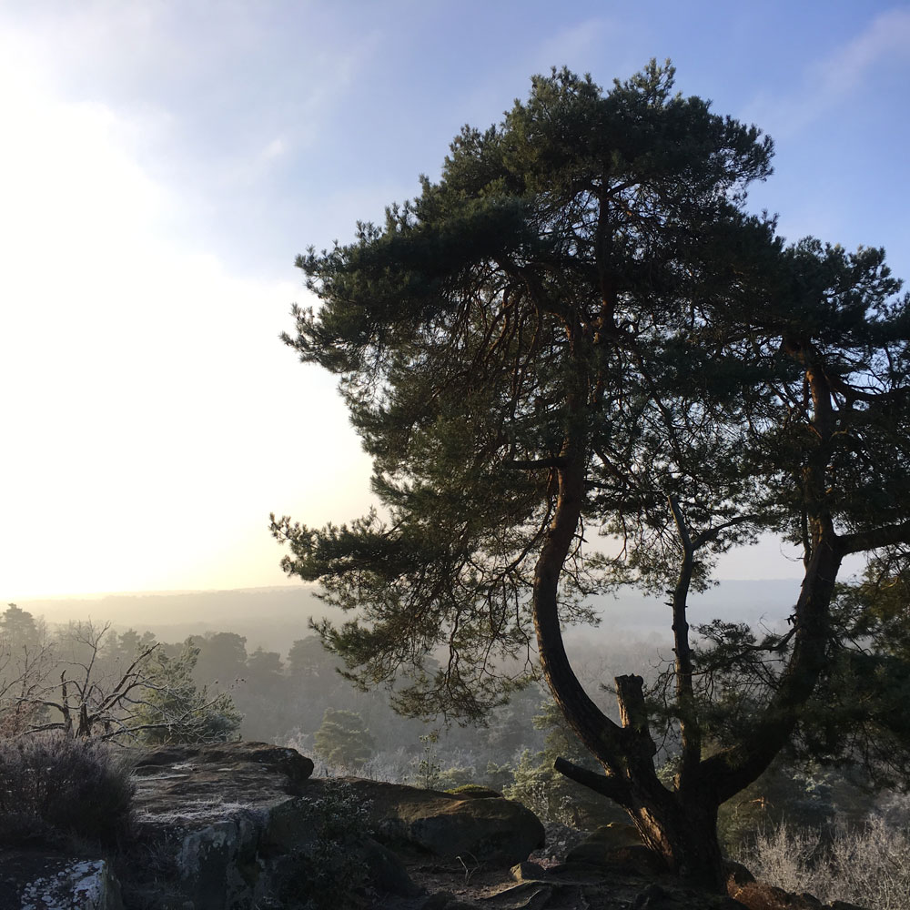 Point de vue du Camp - Chailly en Bière